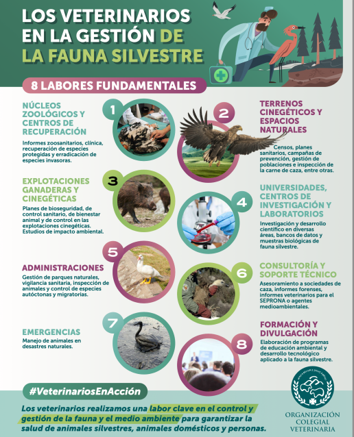 AXON COMUNICACION, AXON COMUNICACION, Los veterinarios españoles atienden a 960 especies silvestres