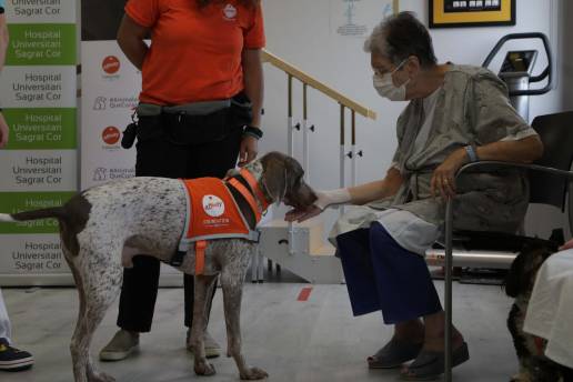 AXON COMUNICACION, Fundación Affinity impulsan un programa de terapias con perros