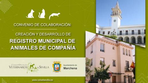 AXON COMUNICACION, El Ayuntamiento de Marchena renueva su convenio con el Colegio de Veterinarios de Sevilla