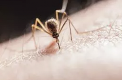 AXON COMUNICACION, La malaria supone una importante carga no reconocida para la salud mundial