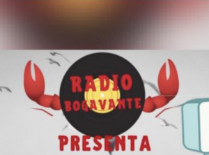 AXON COMUNICACION, Radio Bogavante dona 300 € a los habitantes de La Palma