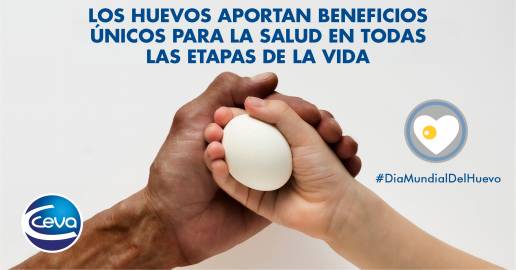 AXON COMUNICACION, Día Mundial del Huevo: beneficios que ofrece su consumo