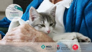 AXON COMUNICACION, Nace “Mayores y Mininos: iniciativa solidaria para adopción de gatos adultos