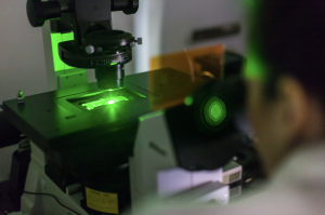 AXON COMUNICACION, Cataluña tendrá el primer equipamiento de microscopía confocal