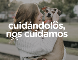 AXON COMUNICACION, El Colegio de Veterinarios de Madrid, con el patrocinio de la Comunidad de Madrid, lanza la segunda fase de la campaña ‘Cuidándolos, nos cuidamos’, destacando la lucha contra el abandono de mascotas
