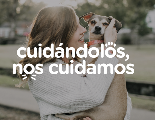 AXON COMUNICACION, El Colegio de Veterinarios de Madrid, con el patrocinio de la Comunidad de Madrid, lanza la segunda fase de la campaña ‘Cuidándolos, nos cuidamos’, destacando la lucha contra el abandono de mascotas