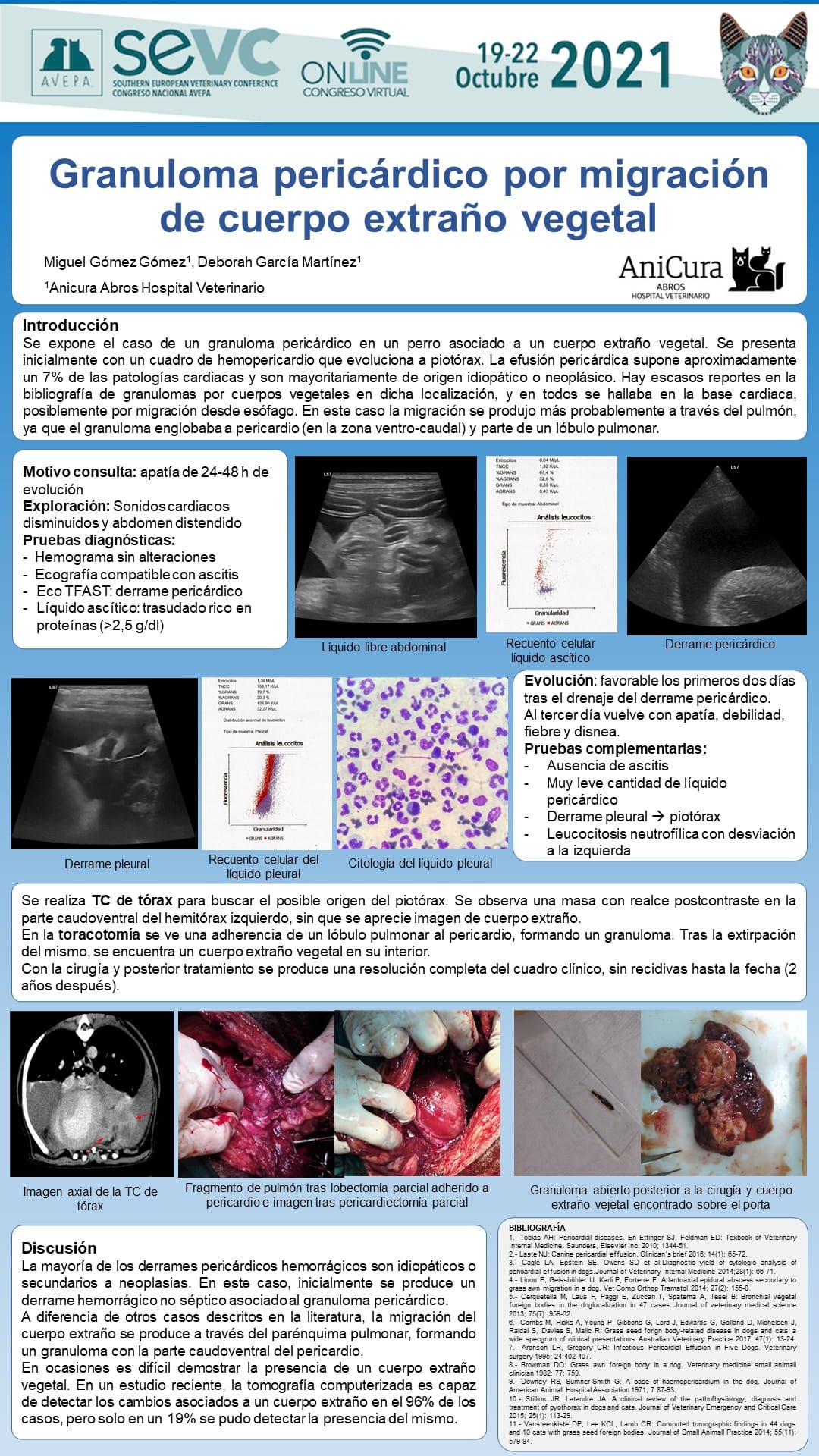 AXON COMUNICACION, AniCura Abros Hospital Veterinario reporta un caso de un granuloma por cuerpo extraño en el pericardio