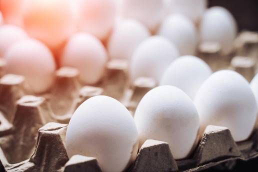 AXON COMUNICACION, Los veterinarios de Castilla-La Mancha garantizan la salubridad de más del 25% de los huevos que se consumen en España