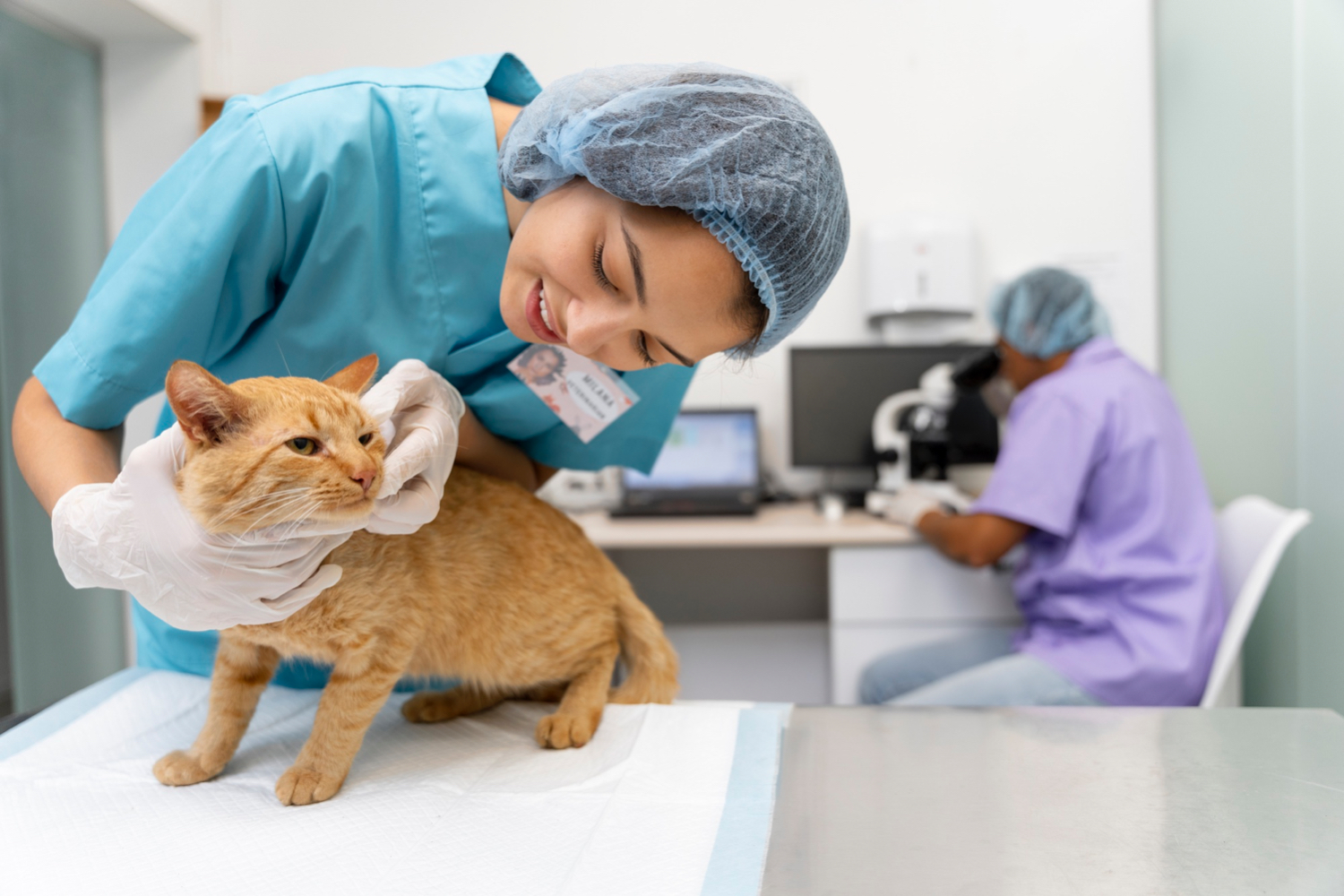 AXON COMUNICACION, Microsporidios en gatos: un patógeno zoonótico emergente