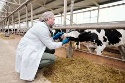AXON COMUNICACION, Veterinarios que ayudan a reducir el uso de antibióticos en las granjas