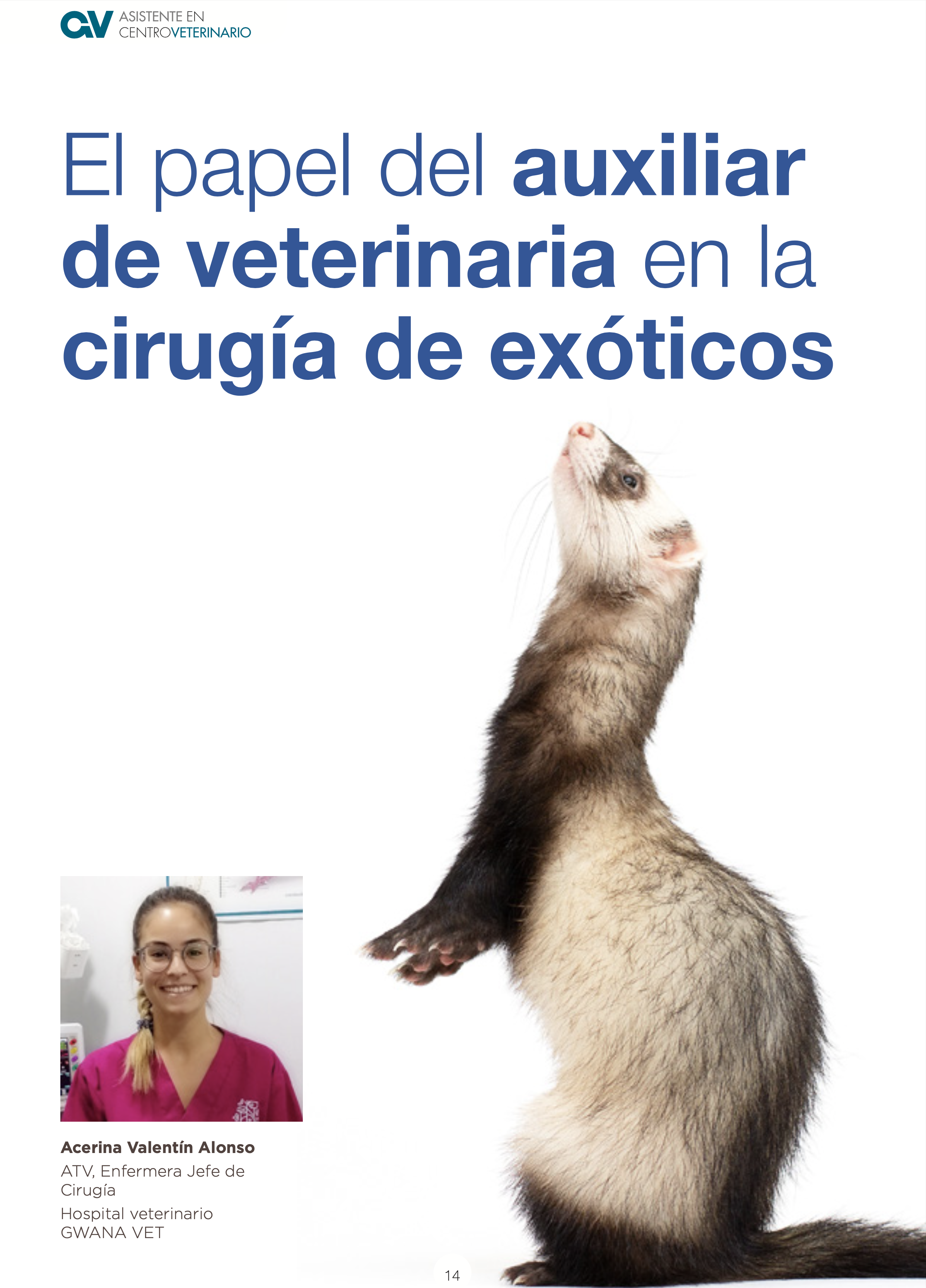 AXON COMUNICACION, El papel del auxiliar de veterinaria en la cirugía de exóticos