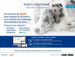 AXON COMUNICACION, FotoVetDerma, el concurso de Zoetis para impulsar la excelencia en el manejo de la patología dermatológica del perro
