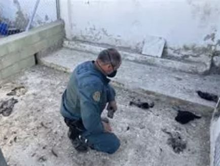 AXON COMUNICACION, Investigado en Lucena (Córdoba) por presunto maltrato animal tras la muerte de perros, gallinas y canarios