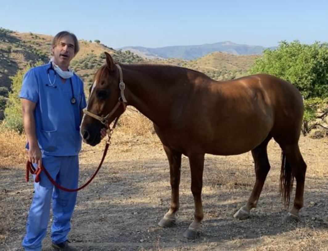 AXON COMUNICACION, Entrevista a Juan Antonio Luque: "la sociedad no conoce la importancia de la profesión veterinaria en todas sus áreas"