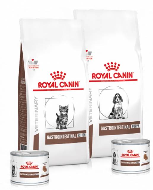AXON COMUNICACION, Royal Canin ayuda al cuidado de la salud digestiva de los gatitos y cachorros a través de Gastrointestinal Tract