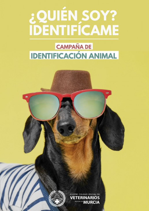 AXON COMUNICACION, El Colegio de Murcia destaca la obligatoriedad de identificar perros, gatos y hurones a través de una campaña de comunicación