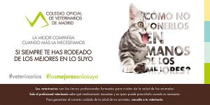 AXON COMUNICACION, Campaña que destaca al veterinario como el único profesional formado para el cuidado de la salud animal