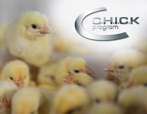 AXON COMUNICACION, La gestión de la calidad de la vacunación en la producción avícola, una prioridad para Ceva Salud Animal