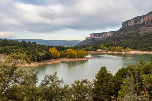 AXON COMUNICACION, Los veterinarios de Castilla-La Mancha gestionan 2 millones de hectáreas, la mayor superficie de la Red Natura 2000