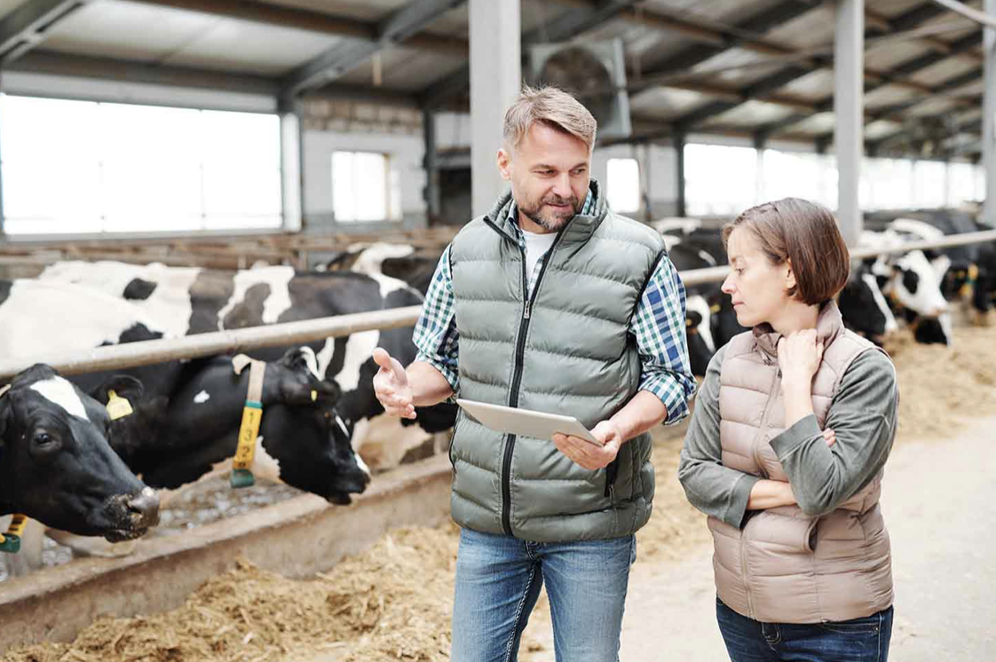 AXON COMUNICACION, Enfermedad respiratoria bovina: trabajar con los ganaderos para iniciar un cambio real