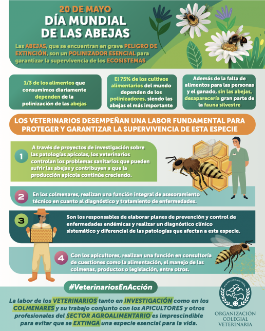 AXON COMUNICACION, El trabajo de los veterinarios, decisivo para el incremento de un 9% del censo de abejas en España