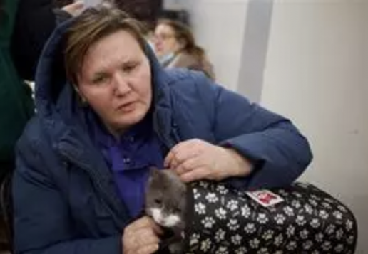 AXON COMUNICACION, El Gobierno señala a los refugiados ucranianos que deben notificar sus mascotas en todas las CCAA para prevenir la rabia