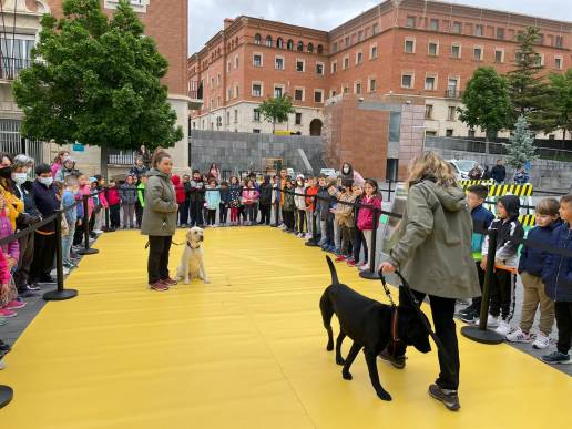 AXON COMUNICACION, La ciudadanía de Teruel conoce la labor de los perros guía de la ONCE