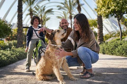 AXON COMUNICACION, MSD Animal Health conciencia a las familias de la importancia de proteger a sus perros de forma eficaz frente a la leishmaniosis durante todo el año