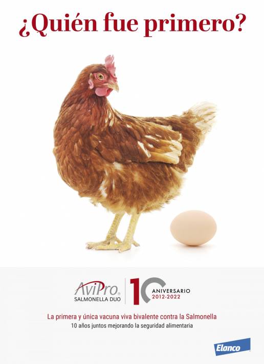 AviPro® Salmonella Duo cumple 10 años protegiendo a las aves contra la Salmonella gallina