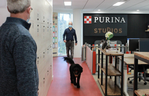 El campus de Nestlé en España ya es Dog Friendly, perro oficina