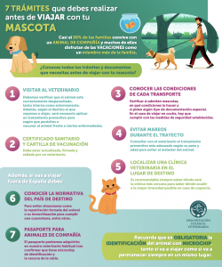 La OCV: “Para viajar con mascotas es imprescindible el certificado sanitario y la cartilla de vacunación actualizada”, foto infográfica viajar con mascotas