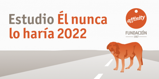 Más de 147.000 perros y gatos que llegaron a las protectoras españolas en 2021 han sido adoptados