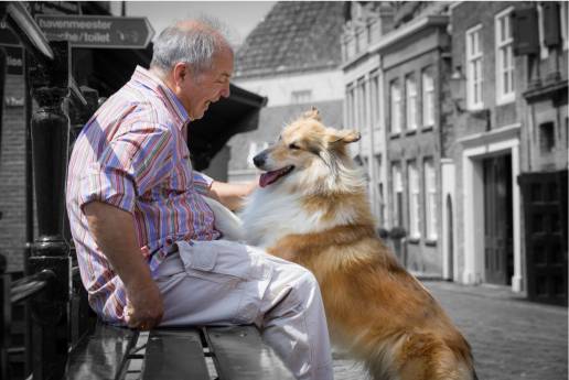 El vínculo humano-animal, beneficioso para los pacientes con Alzheimer y demencia, FOTO PERRO CON ANCIANO