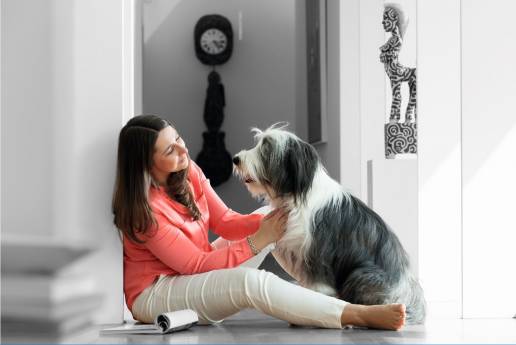 Eficacia de los perros de terapia en pacientes con enfermedades mentales, foto perro