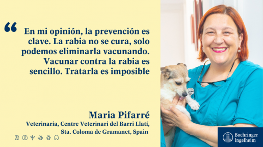 “Vacunar contra la rabia es sencillo, tratarla es imposible”, FOTO VETERINARIA MARIA PIFARRÉ