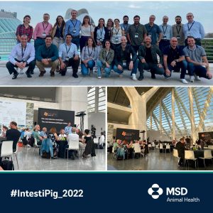  MSD Animal Health celebra su congreso europeo IntestiPig forum 2022 en Valencia, foto veterinarios cerdos