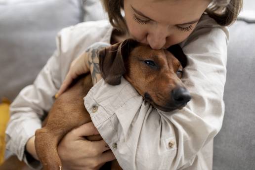 Proyecto de Ley de protección, derechos y bienestar de los animales, foto mujer abrazando perro