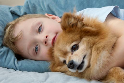 Veterinarios voluntarios ofrecerán charlas en colegios sobre el cuidado de mascotas, foto niño y perro