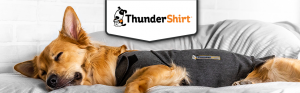 El chaleco relajante ThunderShirt® llega a España para ayudar a los perros a combatir el estrés