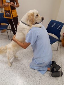 Purina, Dogtor Animal, Fundación Diversión Solidaria y el Hospital Universitario del Henares inician un programa de terapias asistidas con animales, para pacientes de la Unidad de Psiquiatría, foto perro abraza niño