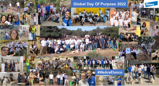 Los empleados de Elanco en España y Portugal participan en iniciativas solidarias con motivo del Día del Voluntariado