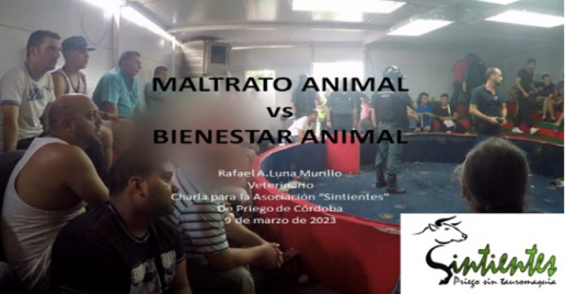 Maltrato animal versus Bienestar animal