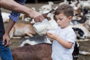 Tomar leche aumentó la masa corporal y estatura de los humanos, foto niño tomando leche