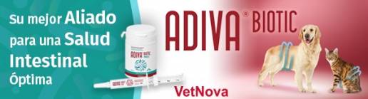 VetNova lanza ADIVA® Biotic para favorecer un Bienestar Digestivo Óptimo en Perros y Gatos