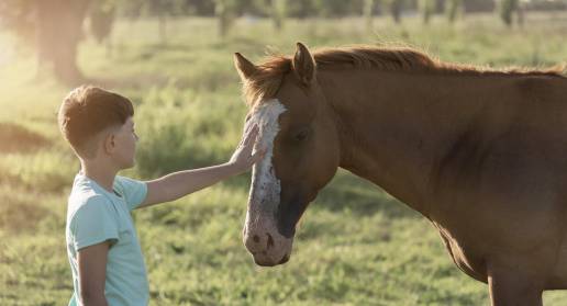 Más del 90% de la población considera que la equinoterapia es beneficiosa , foto niño con caballo equinoterapia
