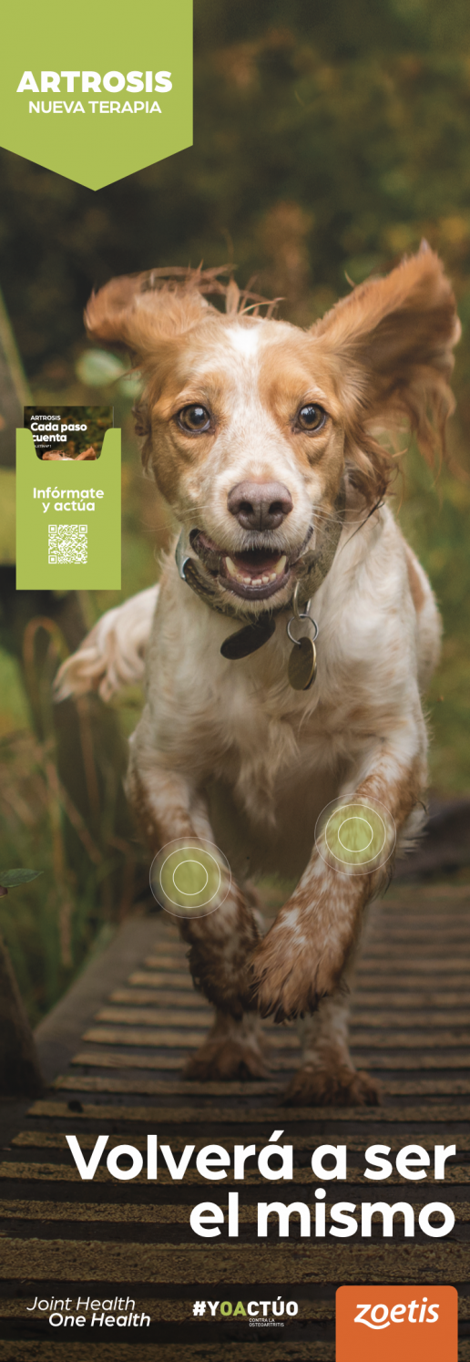 Joint Helath One Health, la campaña que facilita a los veterinarios la concienciación de sus clientes sobre la OA, foto perro corriendo
