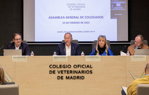 Fomentar la especialización de los veterinarios de animales de compañía, visibilizar más la profesión y realizar un estudio de su estado de situación, principales objetivos de COLVEMA para 2023