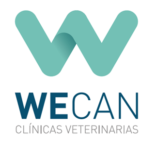 Charla de WECAN “Independiente y Competitivo. ¿Es posible?”, foto logo wecan