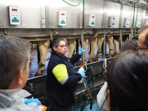 Más de 100 veterinarios son ya expertos en terapia de secado selectivo gracias a los talleres Zoetis - Pascual
