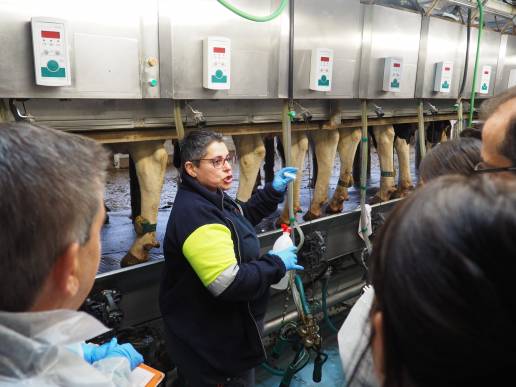 Más de 100 veterinarios son ya expertos en terapia de secado selectivo gracias a los talleres Zoetis - Pascual